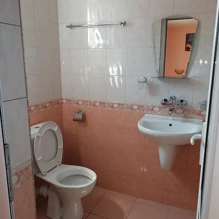 Guest house Milchevi *