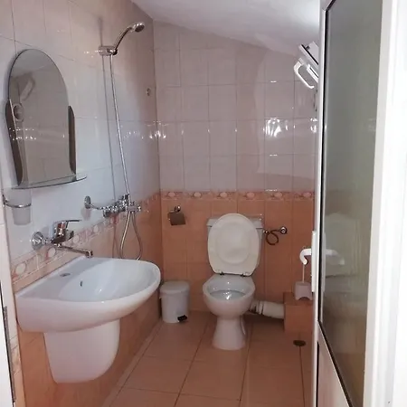 Guest house Milchevi *