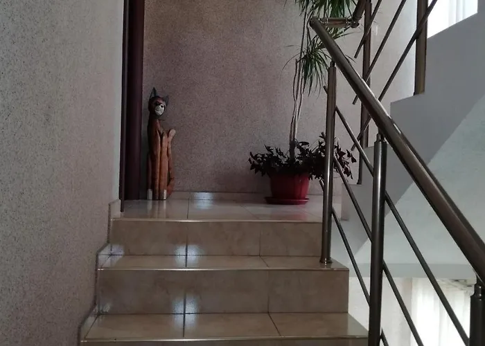 Milchevi Konukevi Süzebolu